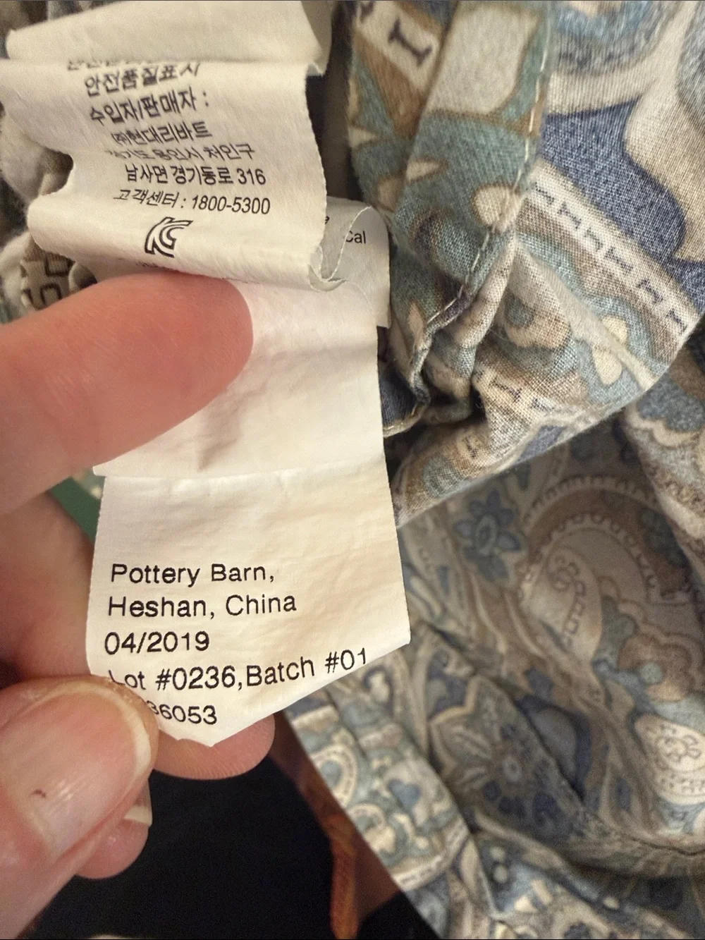 Pottery Barn Paisley Cotton Duvet Cover in Blue and Cream